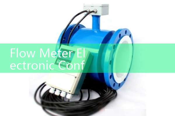 Flow Meter Electronic Configuration: Setting Up Smart Signal Converters and Data Portals